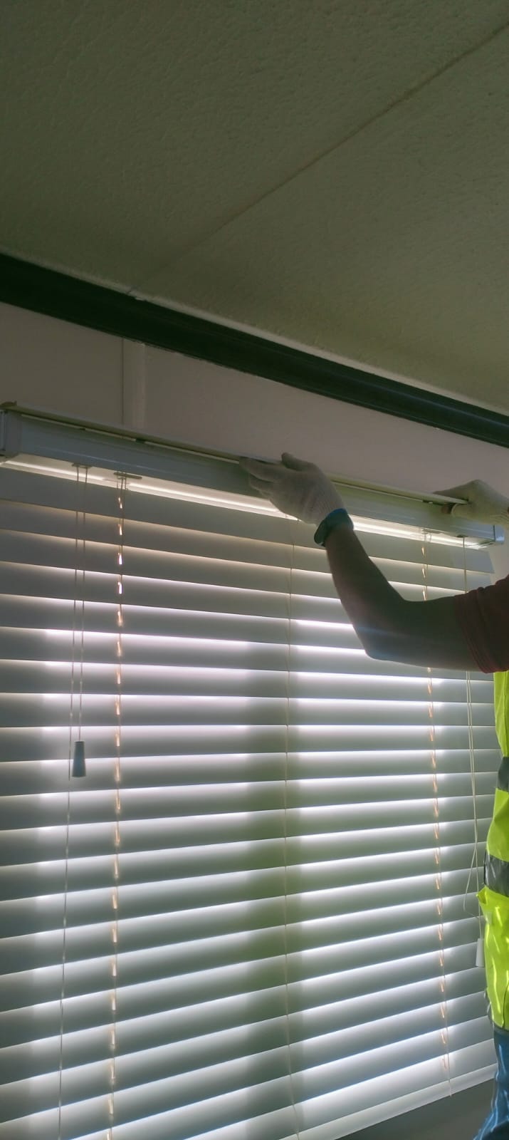 Novaroots Project 44